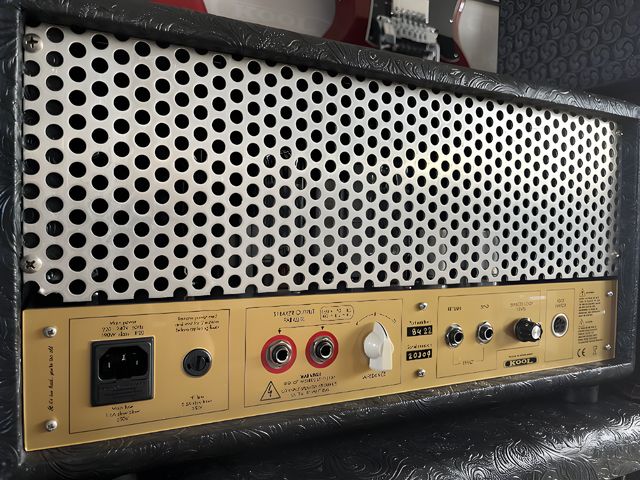 The back of a Kool amplifier with its mains inlet, speaker outputs and a perforated steel panel